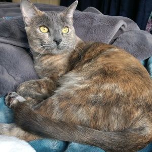 Meet your Posher, Taylor